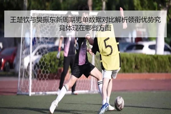 王楚钦与樊振东新周期男单数据对比解析领衔优势究竟体现在哪些方面